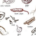 blog1