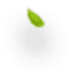 h3 leaf 1