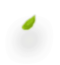 h4 leaf 2